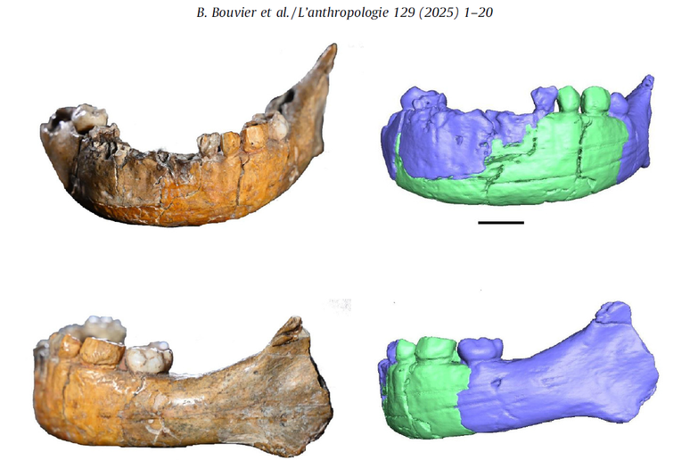 Imagem da mand&iacute;bula de Skhūl 1&deg;
