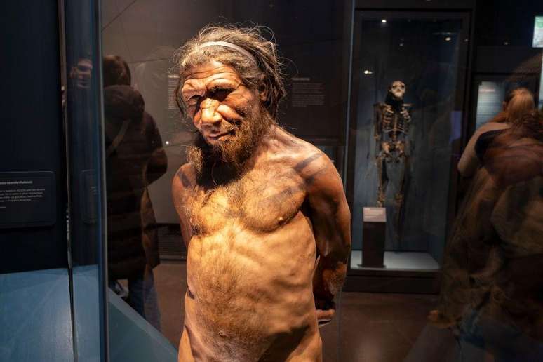 Existem provas cient&iacute;ficas do cruzamento entre os neandertais e os seres humanos modernos