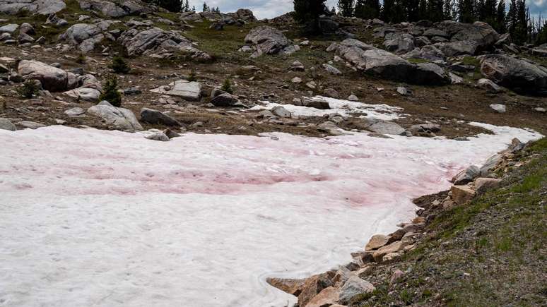 O fen&ocirc;meno, observado na rodovia Beartooth, em Montana &ndash;