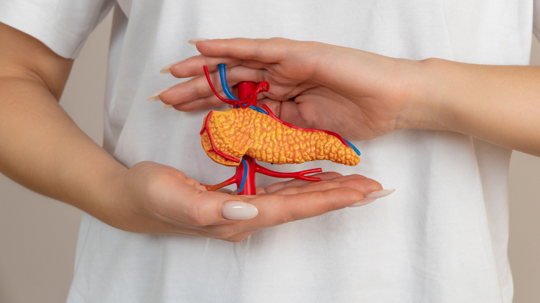 O pâncreas é um dos órgãos mais importantes, pois garante a absorção de nutrientes e a produção de insulina, mantendo o corpo saudável