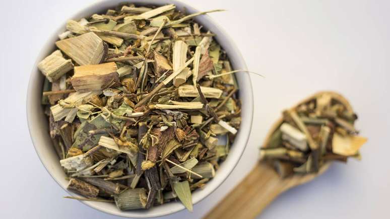 Dentro das tradições populares e espirituais brasileiras, um ritual simples ganha força nesse período: o banho de boldo