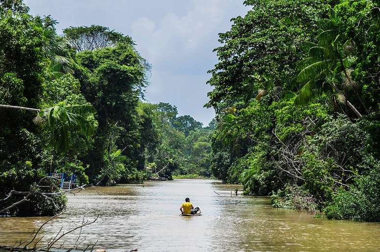 Passeios por igarapés, trilhas na mata e contato com a biodiversidade tornam o destino perfeito para quem busca ecoturismo no Pará – Wikimedia Commons/Carolrmoraes