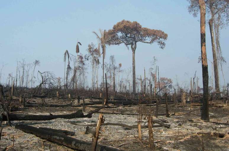 Vestígios da floresta tropical perto da cidade de Novo Progresso, no estado brasileiro do Pará - enquanto o incêndio na Zona Azul atraiu a cobertura da imprensa, a localização da COP também chamou a atenção para as ameaças à Amazônia. Alexander Lees, CC BY-NC-ND