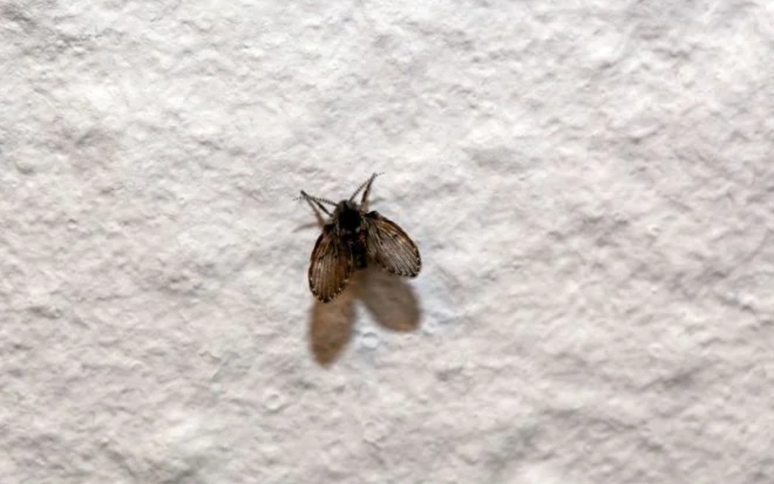 weisschr/GettyImages