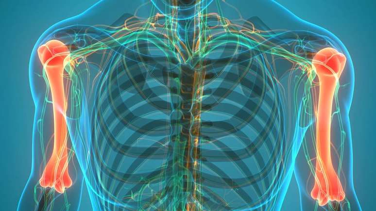 Nutricionista explica a importância do cálcio para os ossos e indica alimentos de origem vegetal que podem ser incluídos na dieta