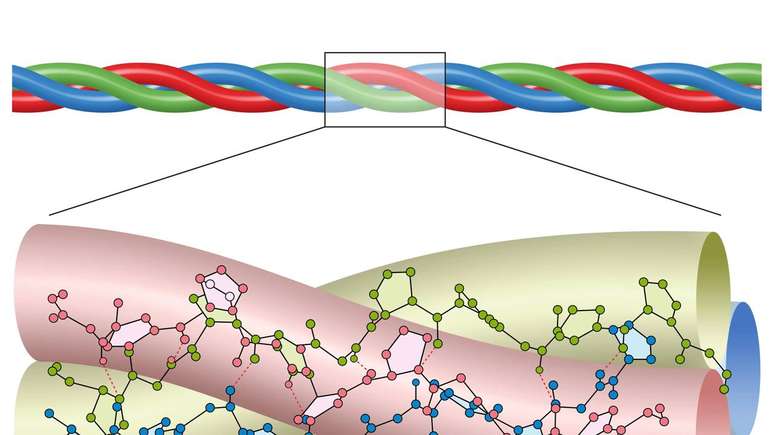 Ilustração da molécula do colágeno – depositphotos.com / aldonagriskeviciene