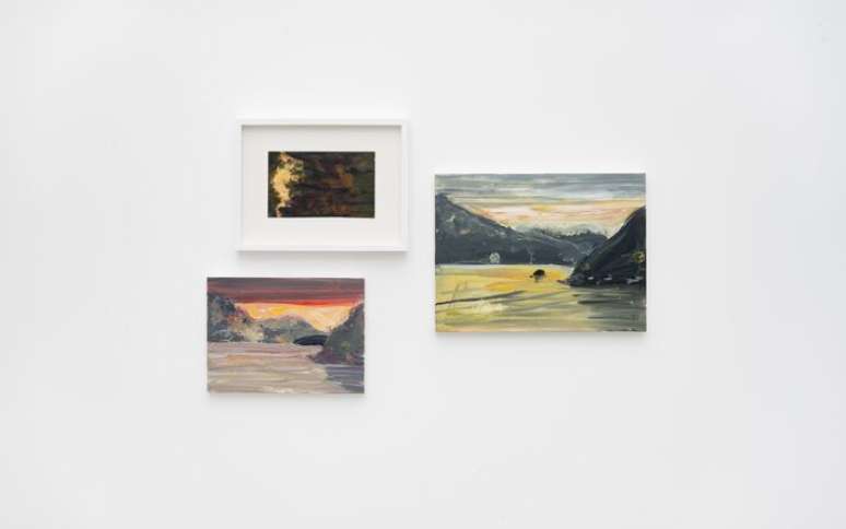 Obras na exposi&ccedil;&atilde;o 'Observations: Luiz Zerbini in Conversation with Frank Walter', no novo espa&ccedil;o da galeria Fortes D&rsquo;Aloia & Gabriel.