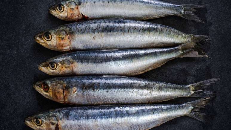 sardinha &ndash; depositphotos.com / merc67