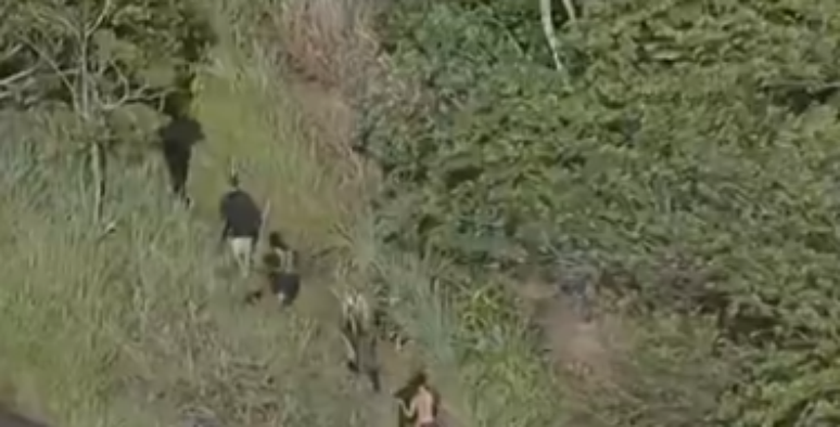 Bandidos armados fogem por trilhas na mata durante opera&ccedil;&atilde;o da PM do Rio