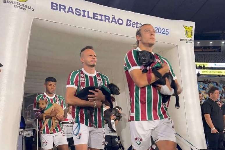Fluminense and Sao Paulo players enter the Maracana Stadium accompanied by dogs for adoption -