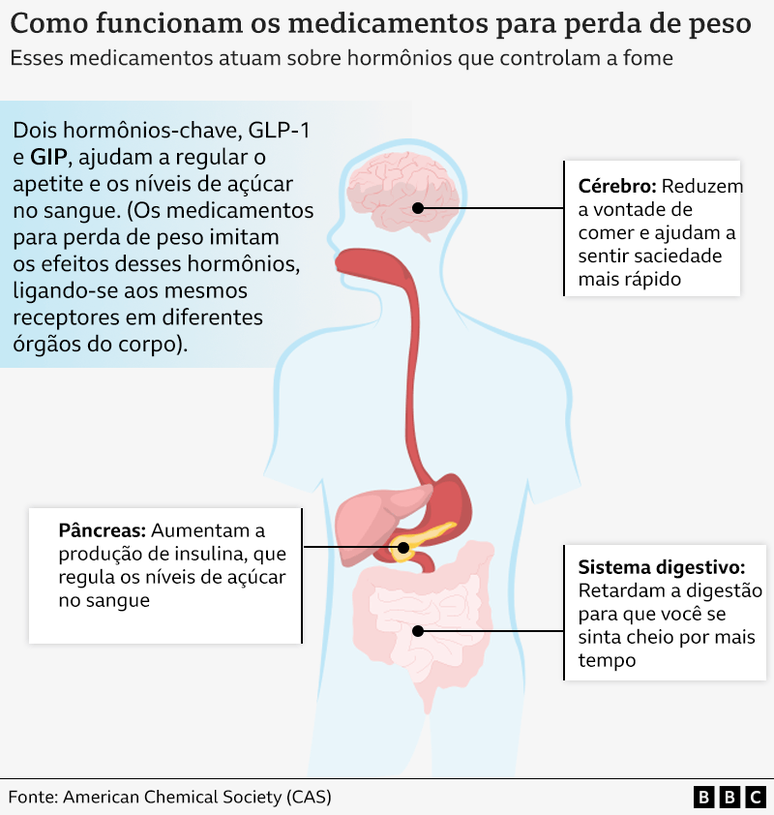 Gr&aacute;fico mostra efeitos das canetas emagrecedoras em diferentes partes do corpo humano: c&eacute;rebro, p&acirc;ncreas e sistema digestivo.