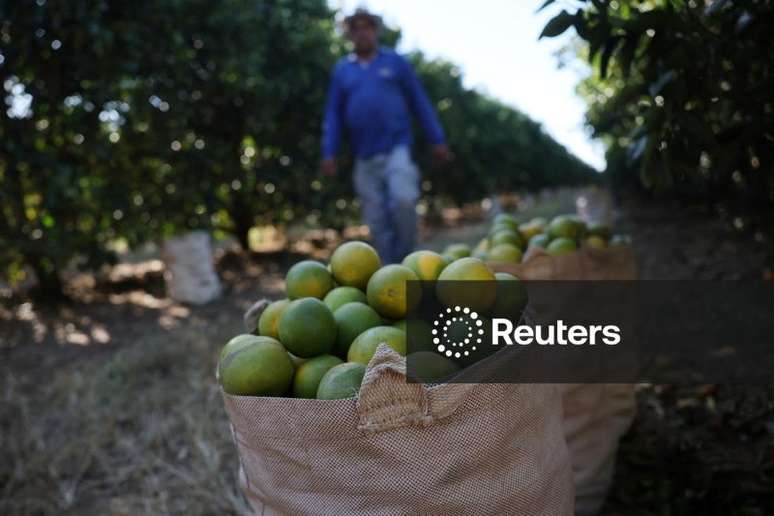 Trabalhador colhe laranjas em fazenda de Formoso, Minas Gerais
16/07/2025. REUTERS/Adriano Machado