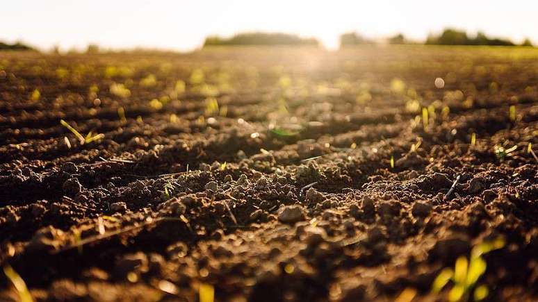 'Entre 1&deg; de janeiro e 24 de julho, consumimos tudo o que a Terra pode regenerar em todo o ano'