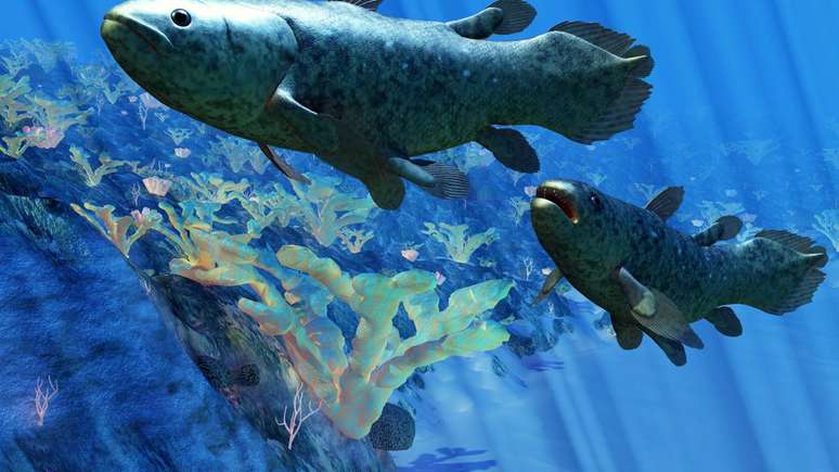 No universo dos peixes, o celacanto apresenta particularidades que o diferenciam de outras esp&eacute;cies &ndash; depositphotos.com / CoreyFord