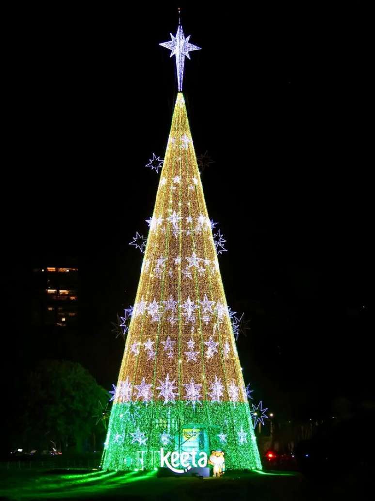 The Ibirapuera Christmas tree is 57 meters high and contains more than 330,000 LED lights.