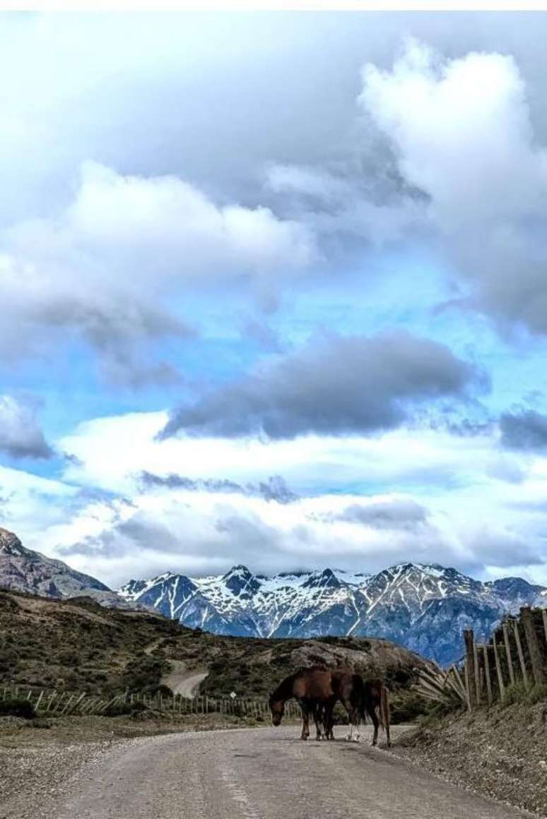 É mais provável que os motoristas encontrem gaúchos a cavalo do que outros viajantes