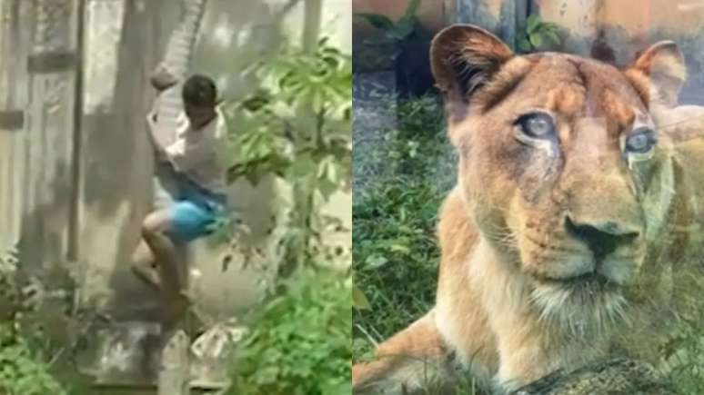 Park visitors captured the scene on video