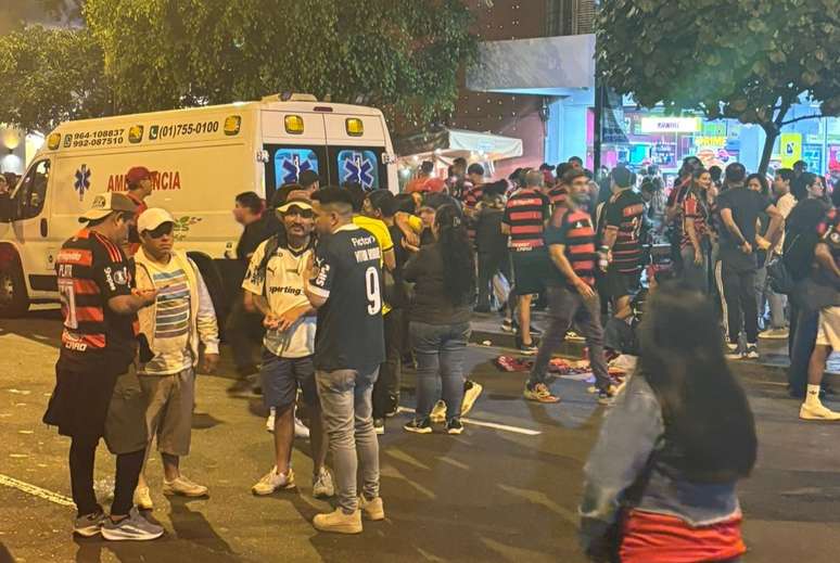 The Palmeirenses enjoy a flamingo concert