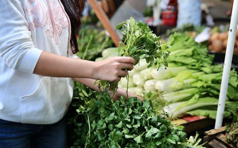 O vegetal mais nutritivo do mundo é simples, barato e vive passando despercebido na feira. /