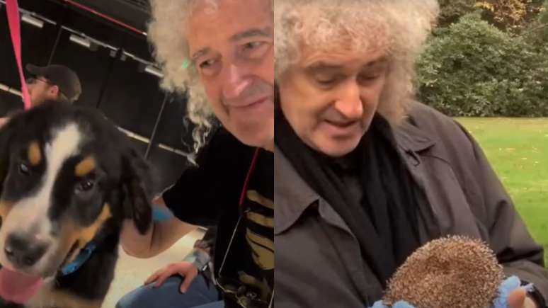 É impossível pensar em Freddie Mercury e Brian May e não associá