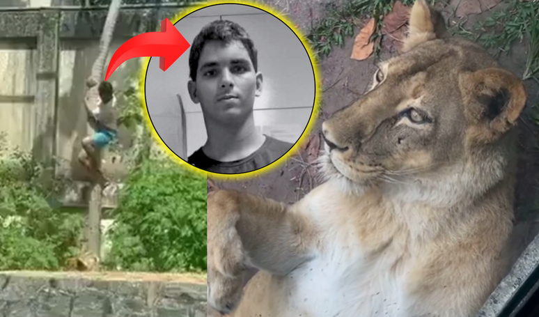 The body of the man killed by the lioness is buried, but the young man's troubled past raises new doubts about the tragedy.