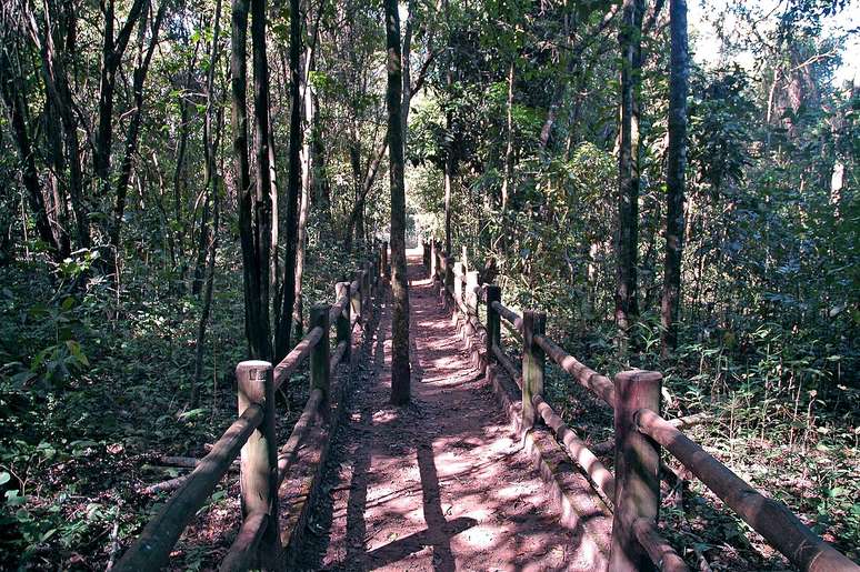 Para uma experiência segura, é essencial seguir as regras de preservação, manter-se nas trilhas demarcadas e verificar as condições de visitação – Wikimedia Commons/ Mercado Viagens