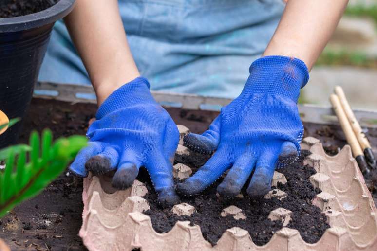 Simplylove/shutterstock