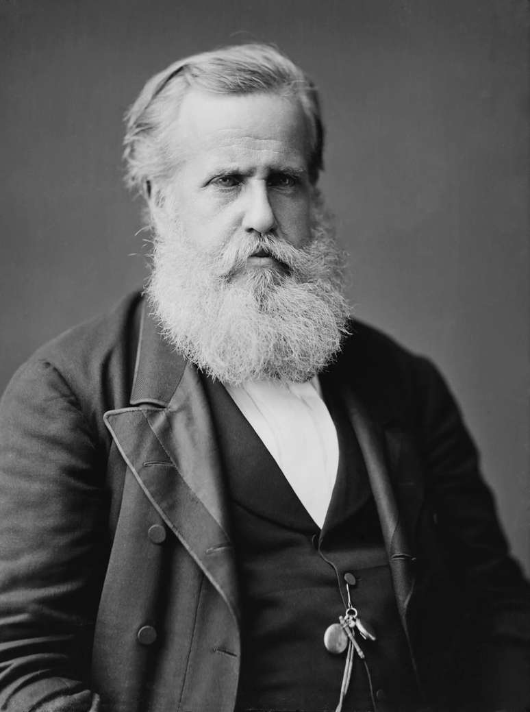 D. Pedro II (Dom&iacute;nio P&uacute;blico)