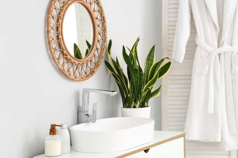 A espada-de-são-jorge se adapta bem a diferentes níveis de luz e ajuda a purificar o ar 