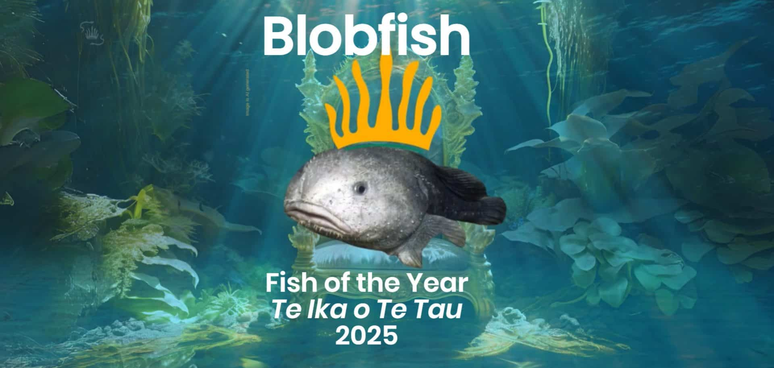 peixe-gota – Divulgação