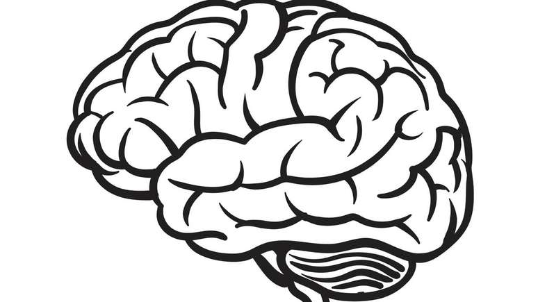 Brain – Depositphotos.com/kaiwut