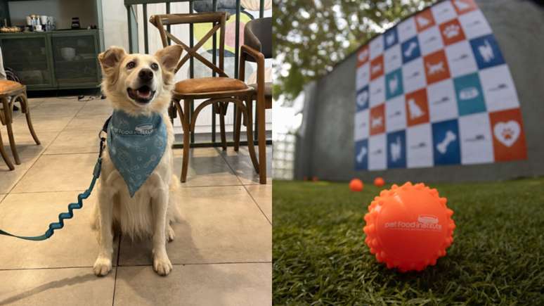 O PFI, com uma trajetória de mais de 60 anos, é uma associação norte