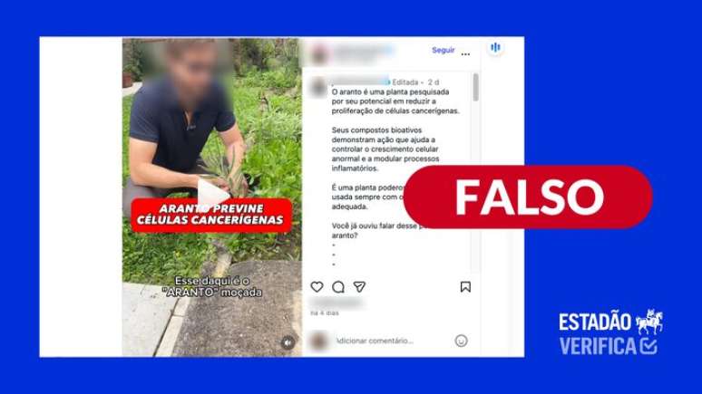 Até o momento, nenhum estudo clínico, em animais ou seres humanos, confirmou ação da planta na prevenção de câncer.