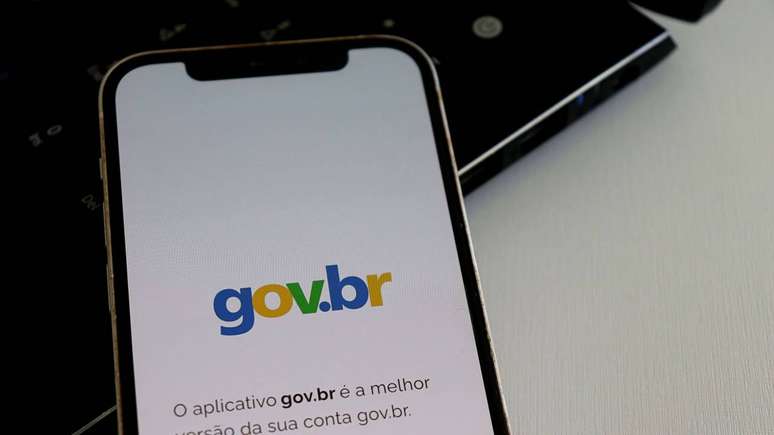 Segurança, praticidade e integração: entenda por que o GOV BR é a principal porta de entrada para serviços públicos online – depositphotos.com / BrendaRochaBlossom