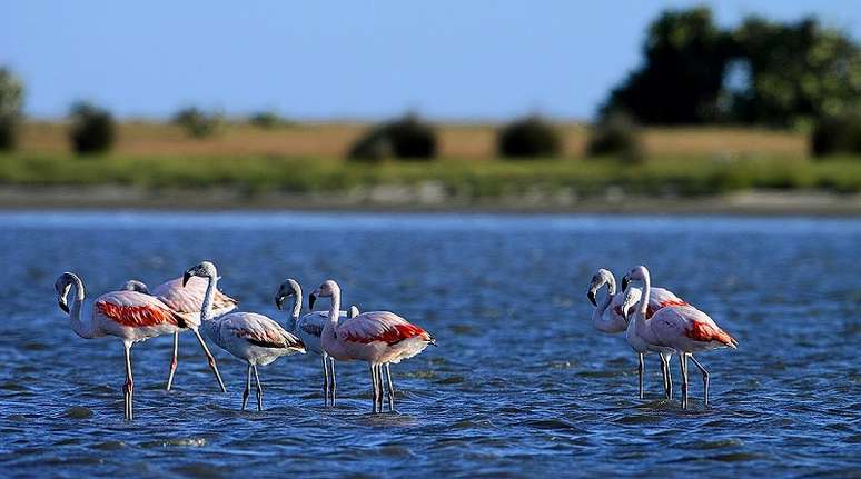 A manutenção da importância ecológica da Lagoa do Peixe depende de cuidados constantes