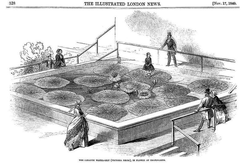 Paxton demonstrou o quão incríveis eram as folhas da vitória-régia, fazendo com que sua própria filha flutuasse sobre uma delas