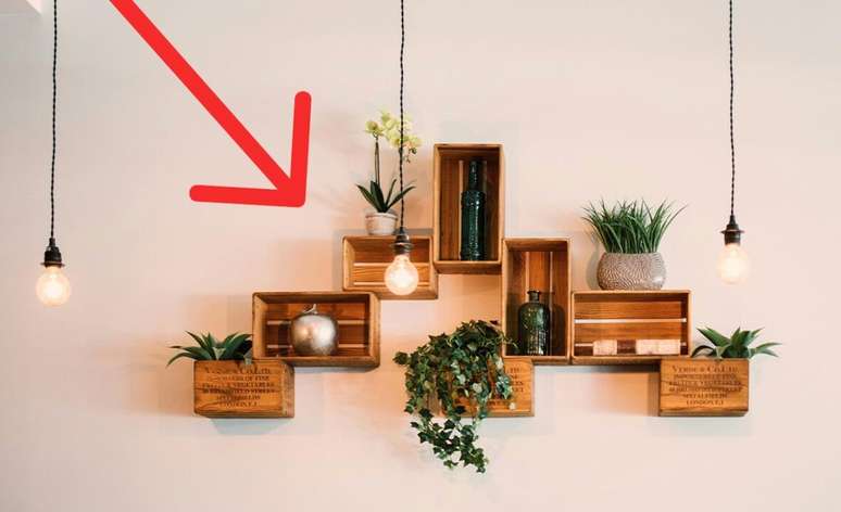 Reprodução/Xataka México