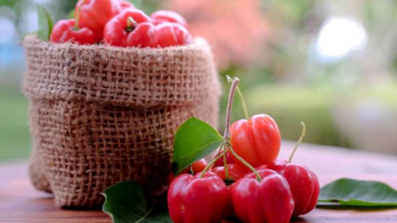 Quem escolhe a acerola para o quintal costuma destacar a produção de frutos como um dos principais benefícios – depositphotos.com / gukguithammasorn.gmail.com