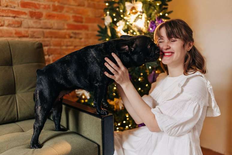 É importante permitir que o pet se aproxime das visitas no seu próprio tempo 