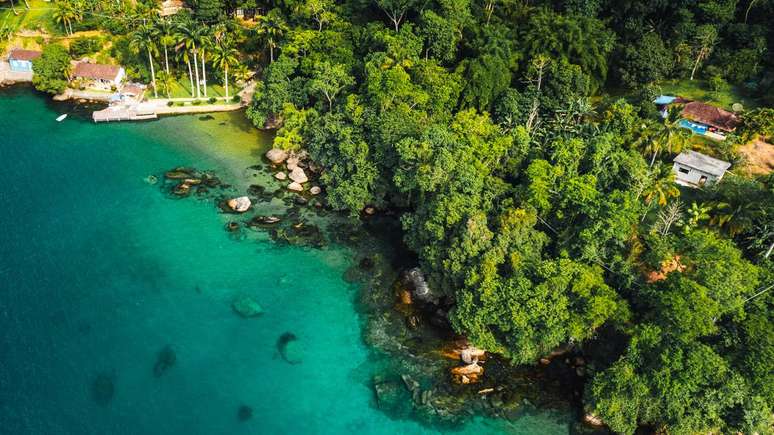 Viagem responsável: cuidados com trilhas, lixo e ecossistemas preservam a Mata Atlântica e garantem que o turismo continue sustentável para os próximos anos – depositphotos.com / hello@peterorsel.com