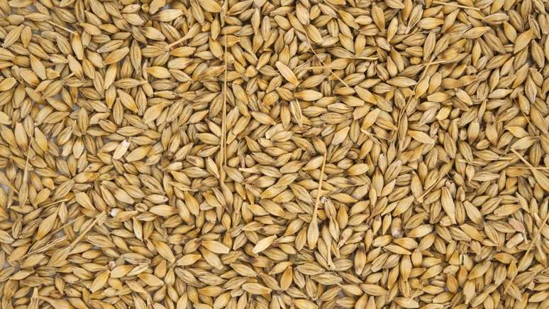 Alternar xícaras de café e cevada é uma estratégia comum para reduzir a ingestão de cafeína gradualmente, sem abrir mão do prazer de uma bebida quente – depositphotos.com / NetPix