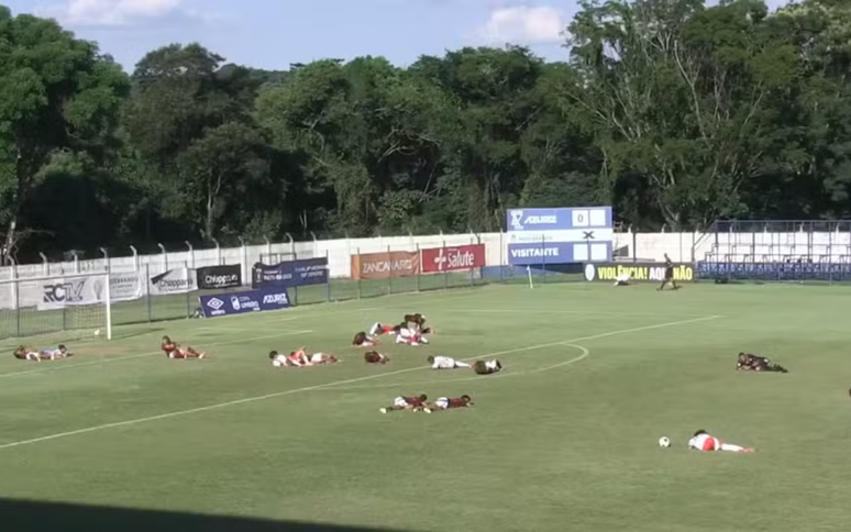 Jogadores e arbitragem se jogam no campo para evitar enxame de abelhas