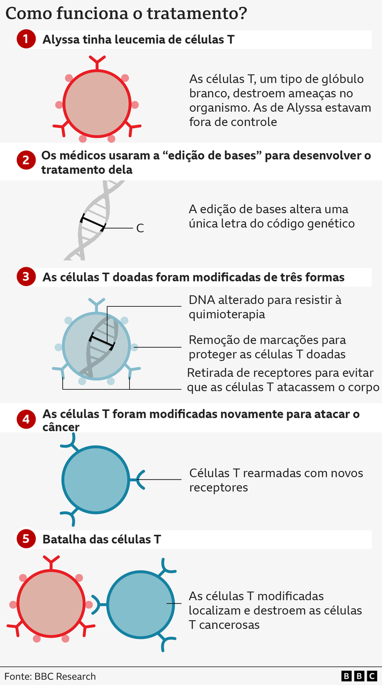 A equipe da University College London (UCL) e do Great Ormond Street Hospital usa uma tecnologia chamada "edição de bases". As bases são a linguagem da vida. Os quatro tipos — adenina (A), citosina (C), guanina (G) e timina (T) — formam os blocos do nosso código genético