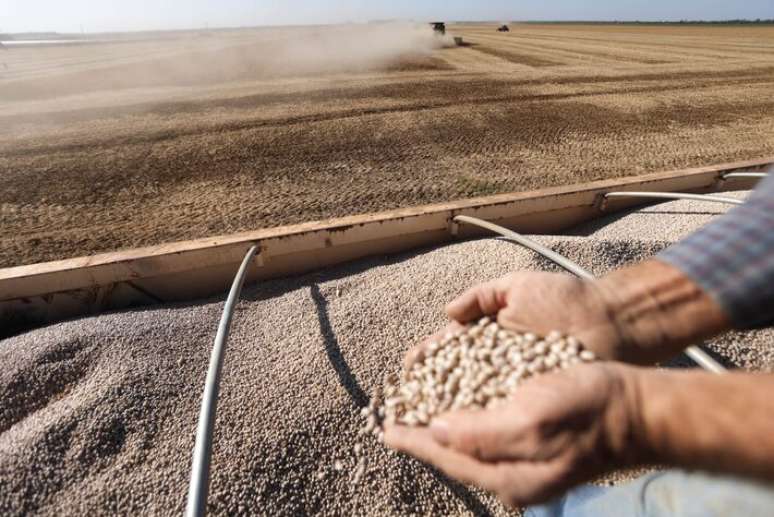 Entidades e lideranças do setor não podem confundir a representação de um segmento com escolhas político-partidárias