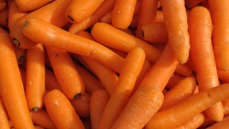 Do prato cru às receitas cozidas, a cenoura ajuda na saúde ocular, no bom funcionamento intestinal e no equilíbrio nutricional – depositphotos.com / SRphotos