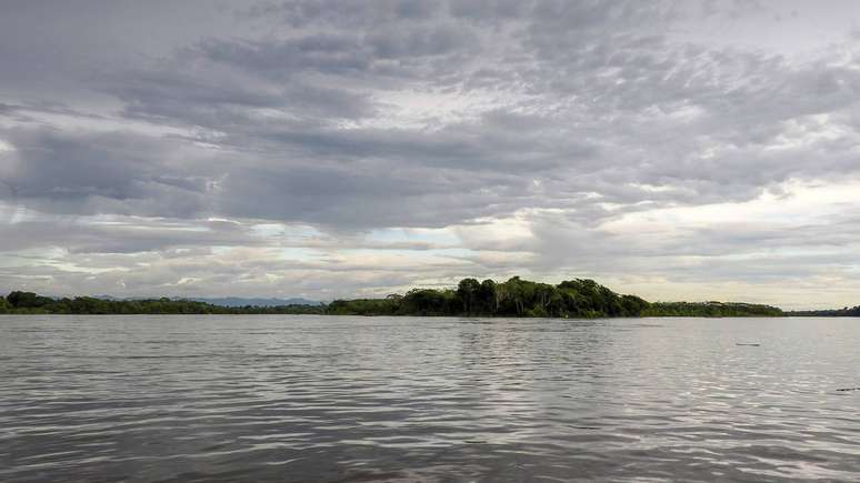 Esses animais não são nativos do país, mas passaram a fazer parte da paisagem de algumas regiões, em especial no entorno do Rio Magdalena – depositphotos.com / izanbar