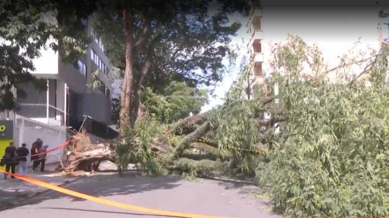 Quando a luz vai voltar em SP?