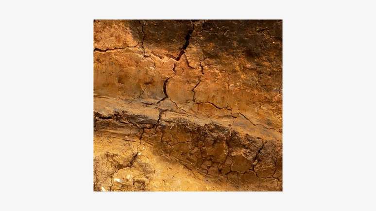 Estas são camadas antigas de argila. Quanto mais fundas, mais antigas elas são.