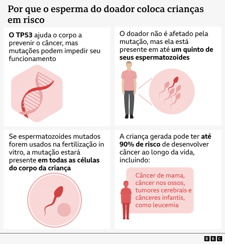 Infográfico explica como uma mutação no gene TP53 presente no esperma do doador pode gerar risco de câncer em crianças concebidas por fertilização in vitro.

Painel superior esquerdo: fita de DNA com o texto “O TP53 ajuda o corpo a prevenir o câncer, mas mutações podem impedir seu funcionamento”.

Painel superior direito: figura humana ao lado de ilustrações de espermatozóides com o texto “O doador não é afetado pela mutação, mas ela está presente em até um quinto de seus espermatozoides”.

Painel inferior esquerdo: espermatozoide dentro de um círculo com o texto “Se espermatozoides mutados forem usados na fertilização in vitro, a mutação estará presente em todas as células do corpo da criança”.

Painel inferior direito: silhueta de uma criança com o texto “A criança gerada pode ter até 90% de risco de desenvolver câncer ao longo da vida, incluindo: câncer de mama, câncer nos ossos, tumores cerebrais e cânceres infantis, como leucemia”.
