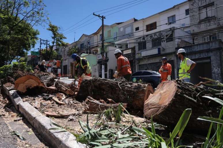 Árvores atingidas pela ventania que assolou São Paulo na quarta, 10